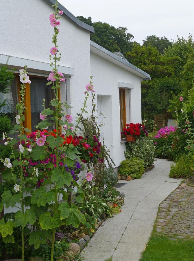 Ostsee Ferienapartments Graal-Mueritz Zewnętrze zdjęcie