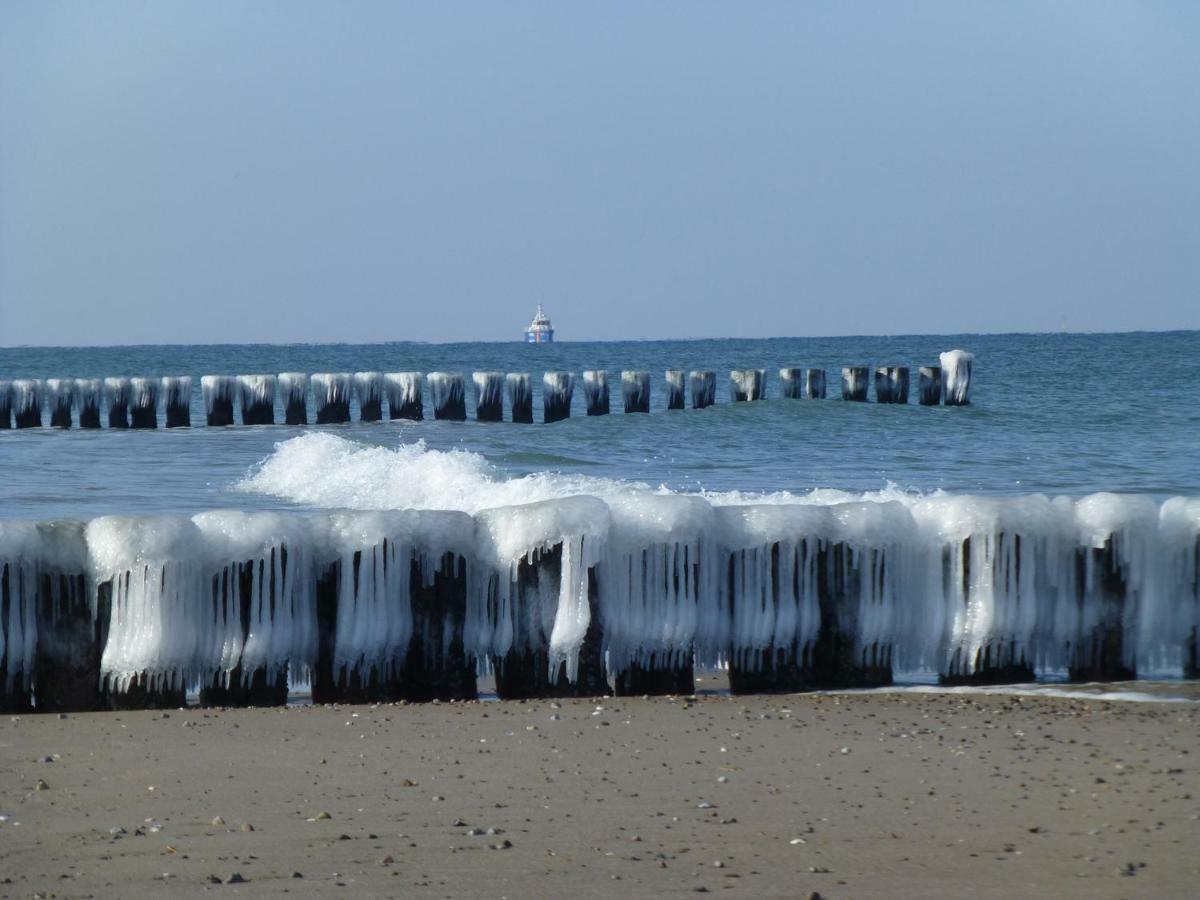 Ostsee Ferienapartments Graal-Mueritz Zewnętrze zdjęcie